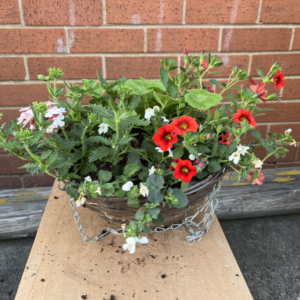 Hanging Basket, Rattan 12"